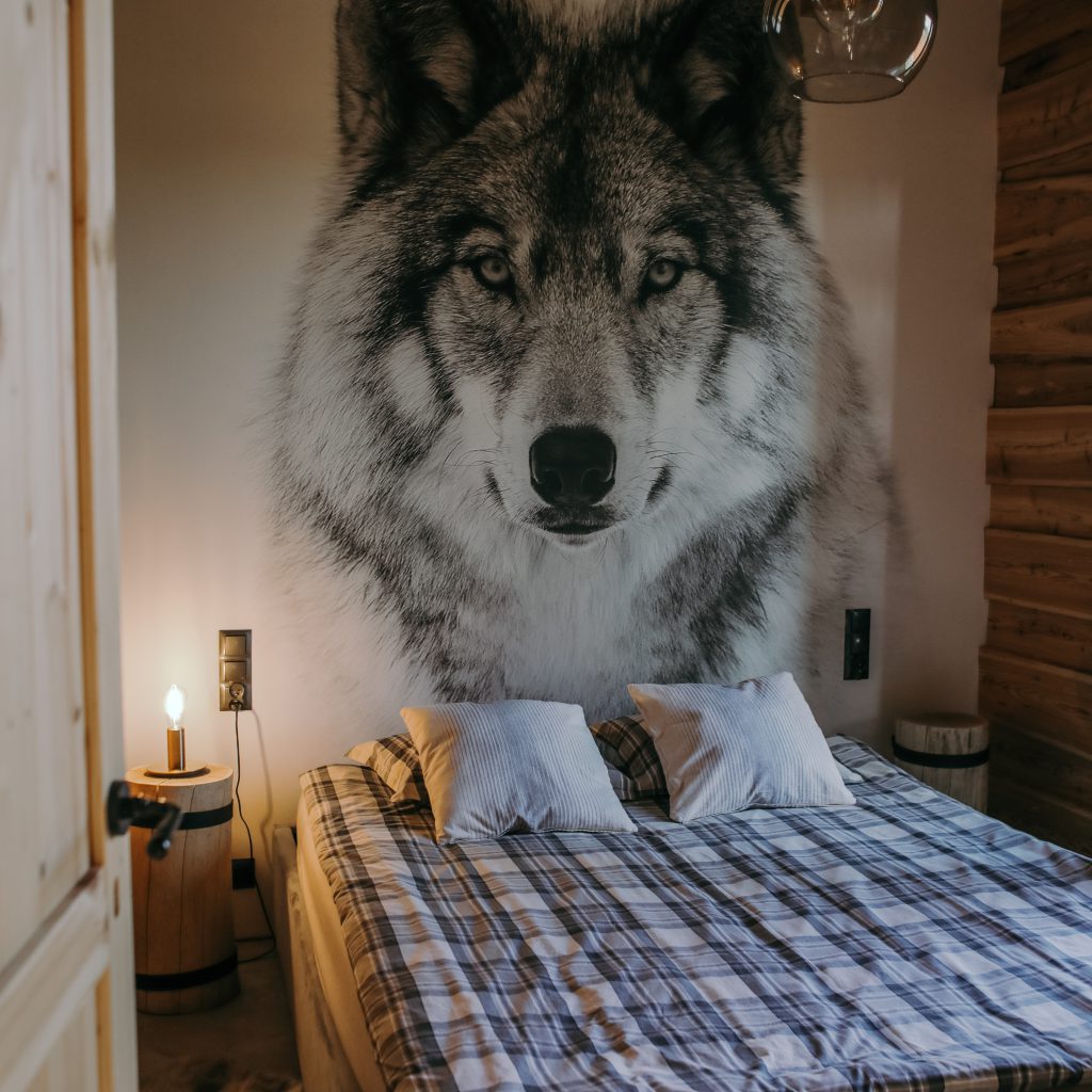 Halinówka Podlasie 8