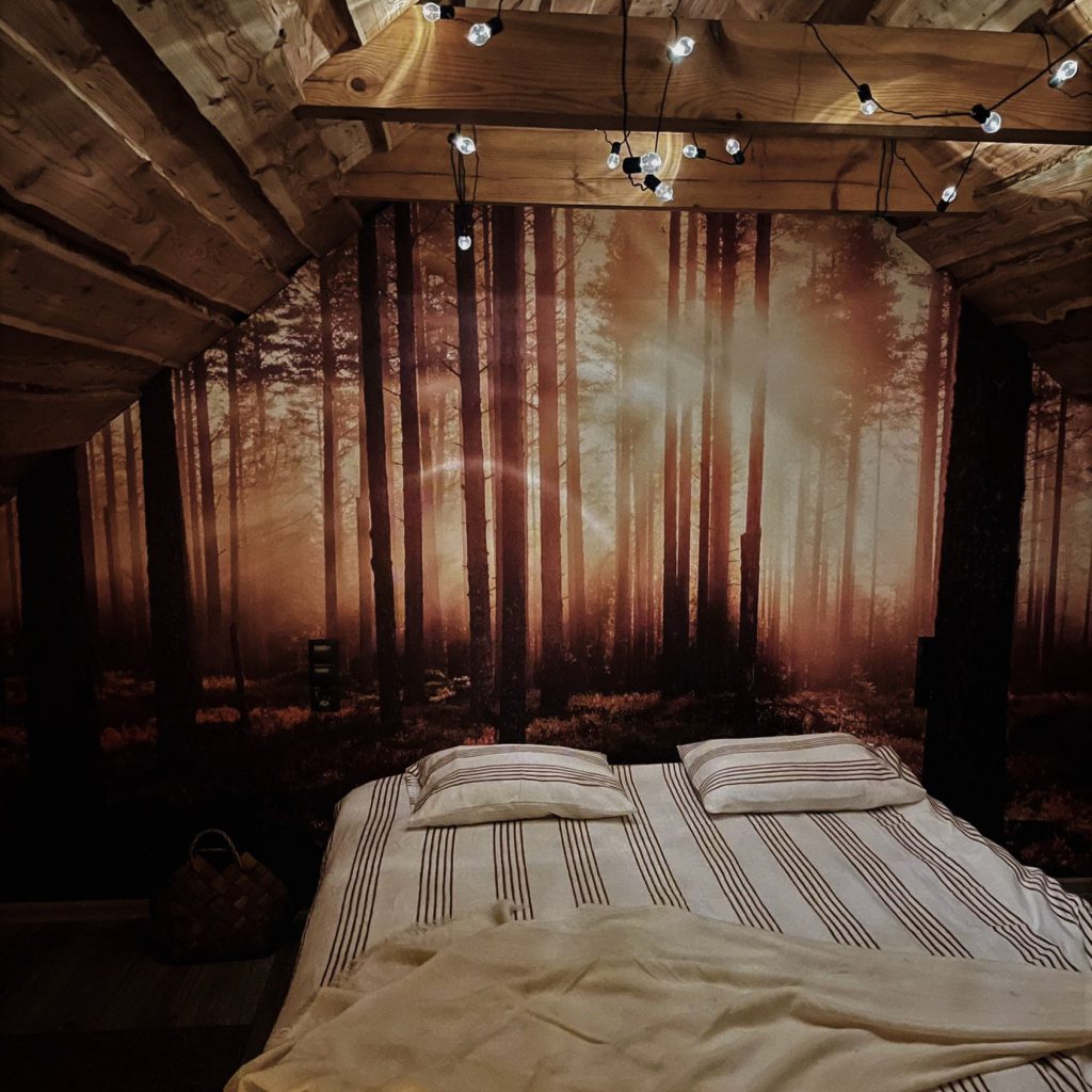 Halinówka Podlasie 9